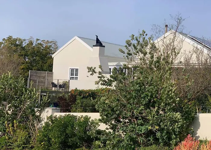 Lemon-Lime Cottage Darling